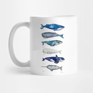 Whale Species Mug